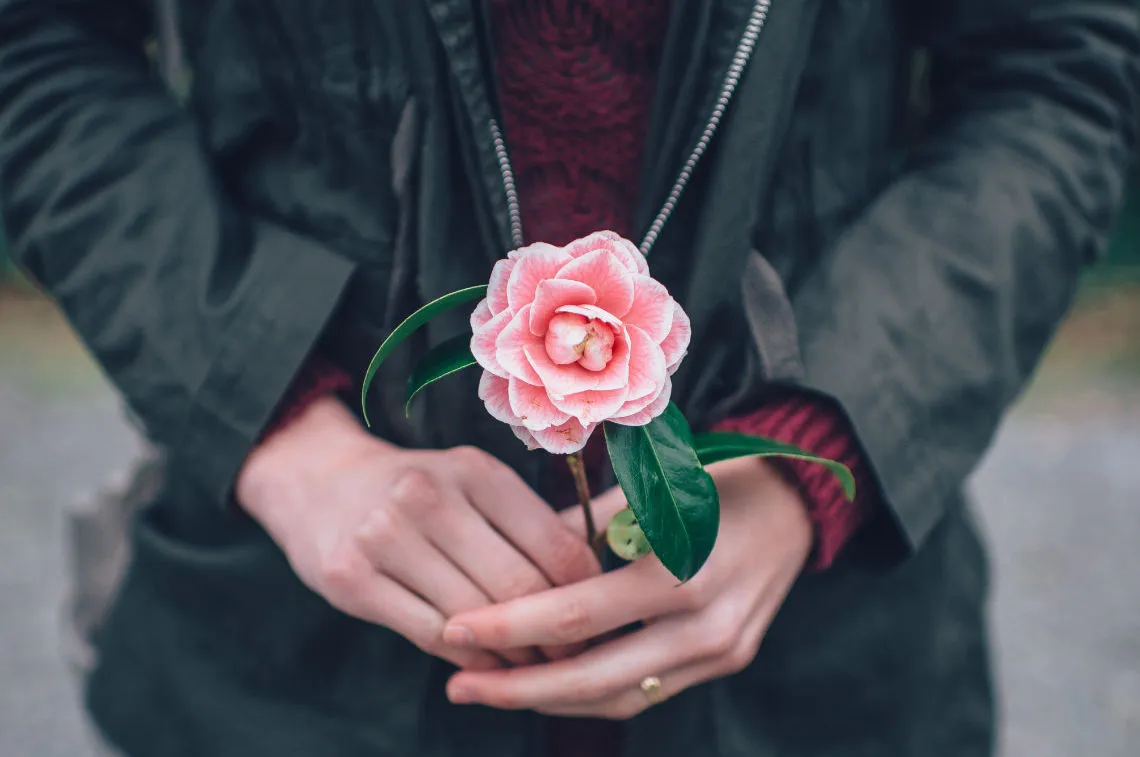 Cancer Recovery 1